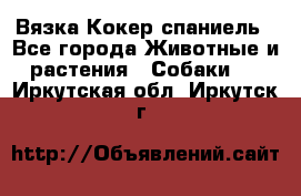 Вязка Кокер спаниель - Все города Животные и растения » Собаки   . Иркутская обл.,Иркутск г.